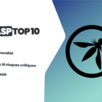 OWASP Top 10 - PIIRATES