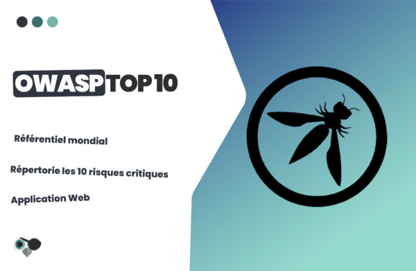 OWASP Top 10 - PIIRATES
