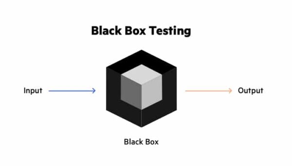 Black box Pentest Piirates