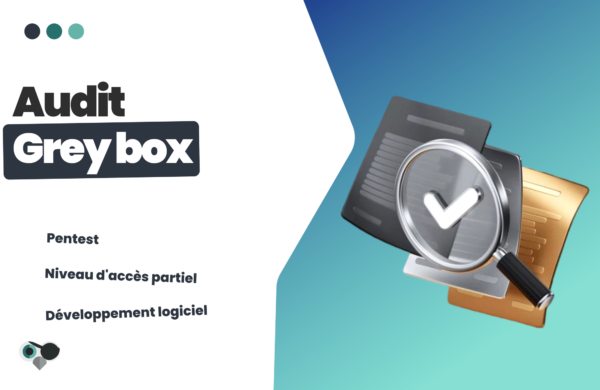 Audit Grey Box Piirates