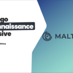Maltego Piirates