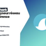 Wireshark en pentest